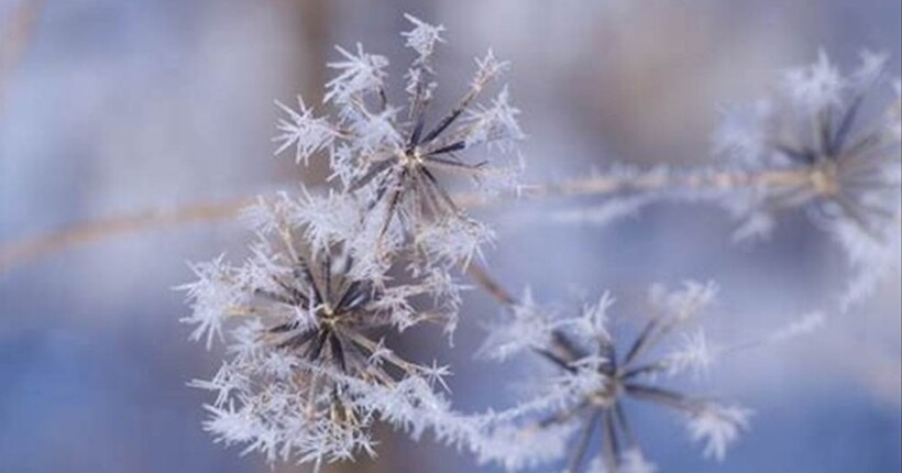 В Україну йдуть морози до -20°C: яким областям приготуватися