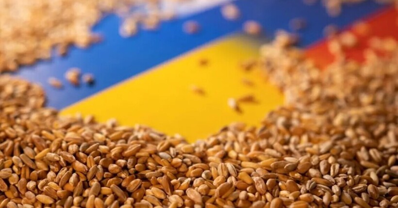 Стало відомо, скільки окупанти вивезли українського зерна