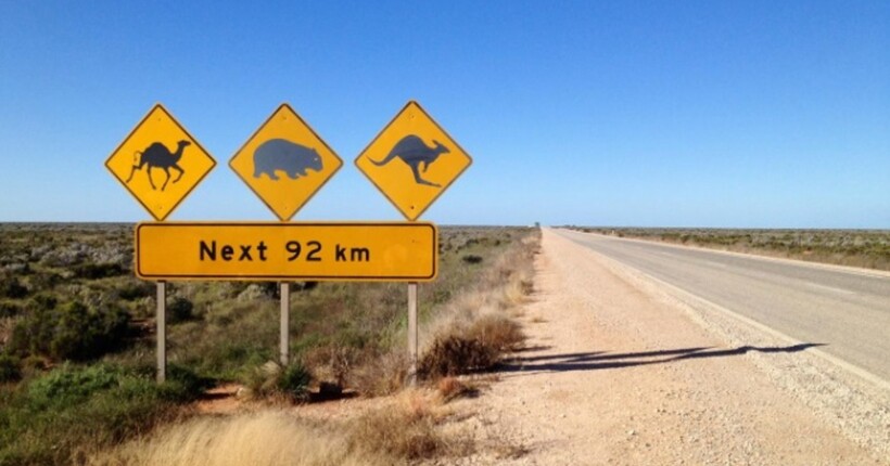Австралію охопила екстремальна спека: подекуди температура сягне +47ºС