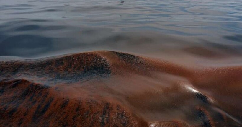 У порту Миколаєва стався витік нафтопродуктів із затонулого судна