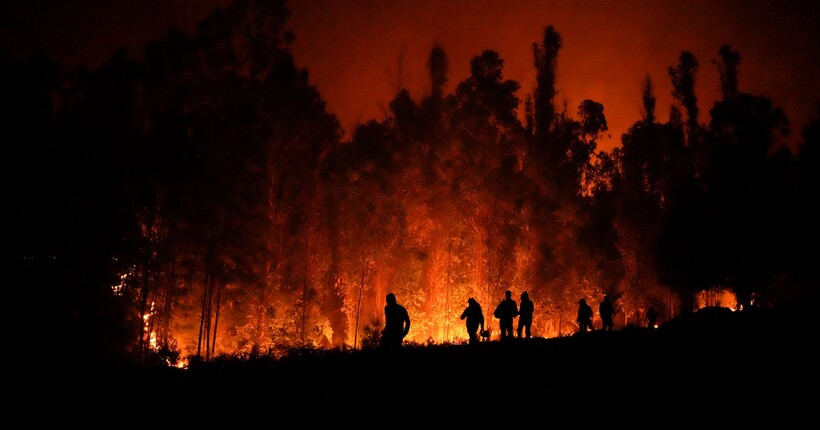 У Чилі оголосили надзвичайний стан через лісові пожежі
