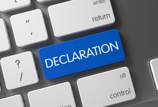 Як українці мають подавати декларацію про доходи у 2024 році та які умови для біженців 