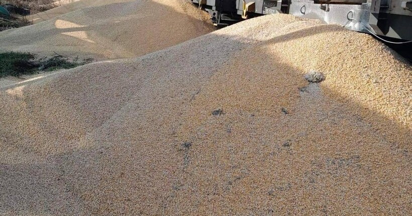 Посол України відреагував на знищення 160 тонн зерна на кордоні