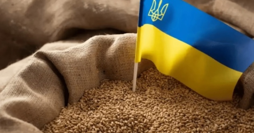 Литовські фермери запевнили, що не блокуватимуть українське зерно