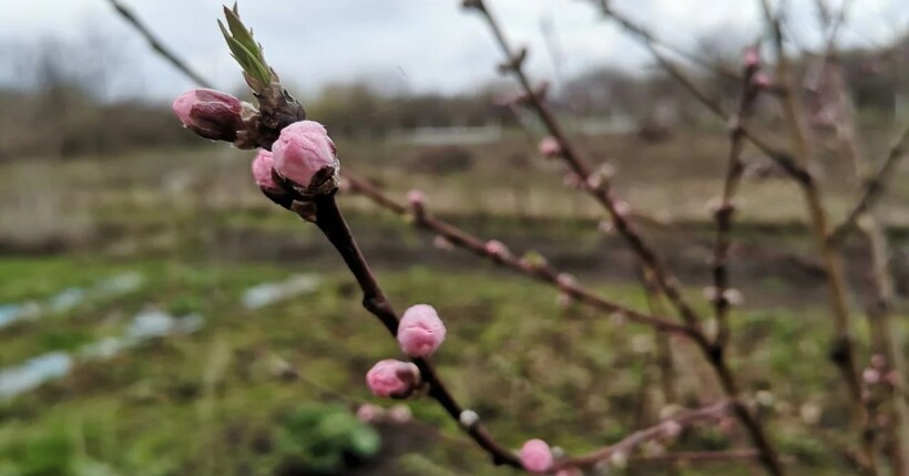 Прогноз погоди на 1 березня в Україні: яким буде перший день весни