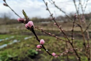 Прогноз погоди на 1 березня в Україні: яким буде перший день весни