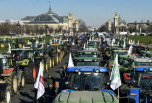 Фермери у Франції готують нові протести, щоб уряд не забував їхні вимоги
