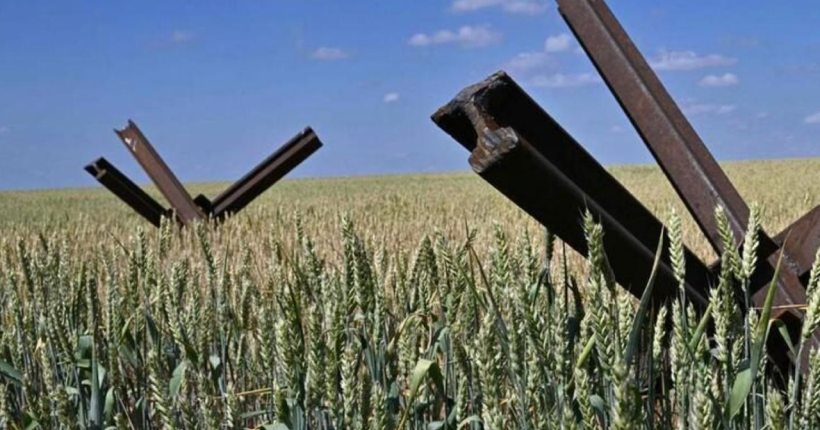 Втрати українських фермерів через блокаду кордону з Польщею становили 500 млн доларів, — посол Зварич