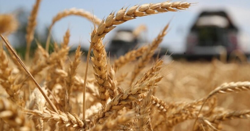 ЄС налаштований обкласти митами зерно з рф та РБ, - FT