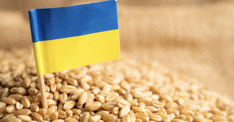 У Польщі заявили про намір припинити транзит зерна з України