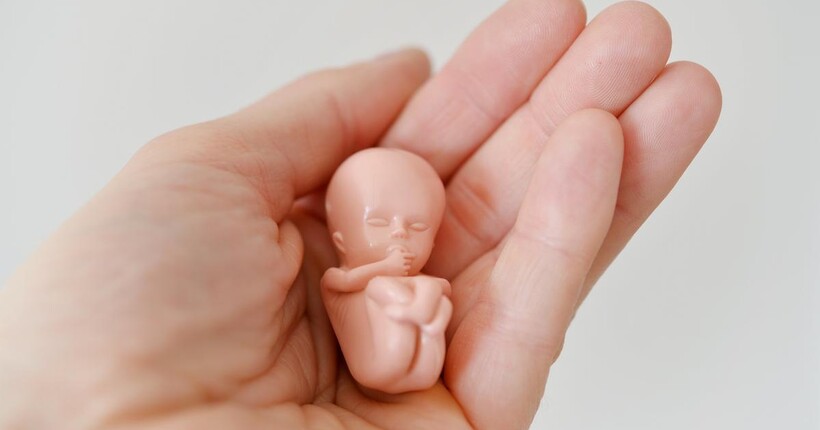 Данія планує послабити обмеження щодо абортів: що зміниться