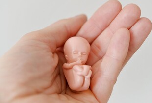 Данія планує послабити обмеження щодо абортів: що зміниться