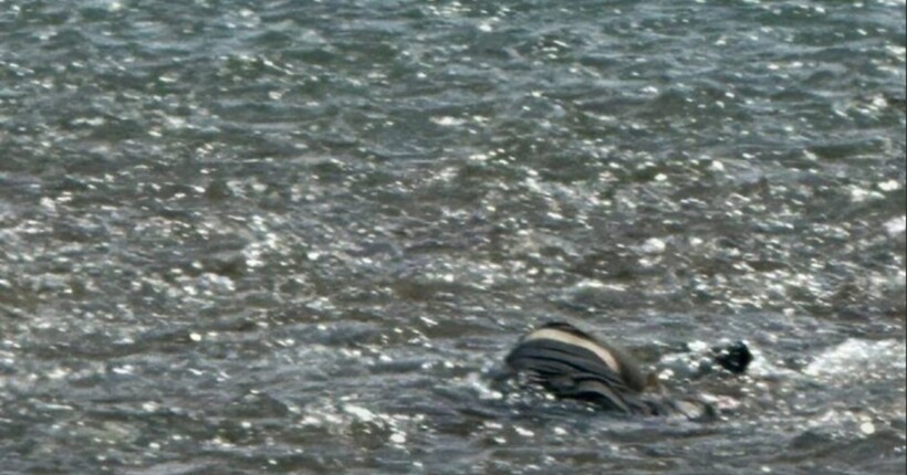 В Тисі потонули ще троє чоловіків – одному з них було всього 20 років