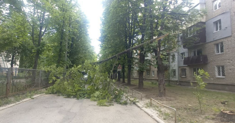 Сильний вітер у Харкові повалив дерева та пошкодив дахи (фото)