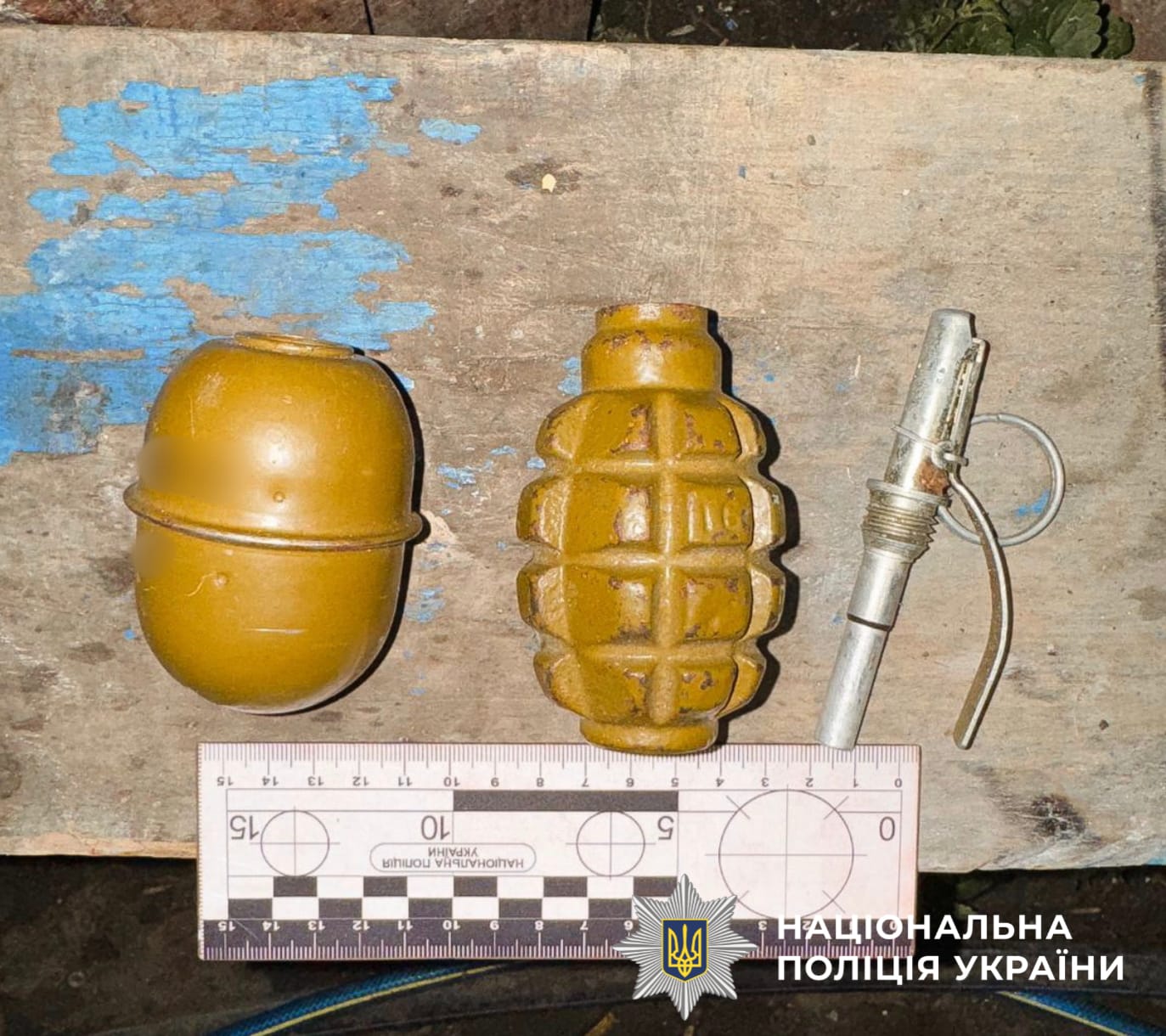 дитина з гранатами
