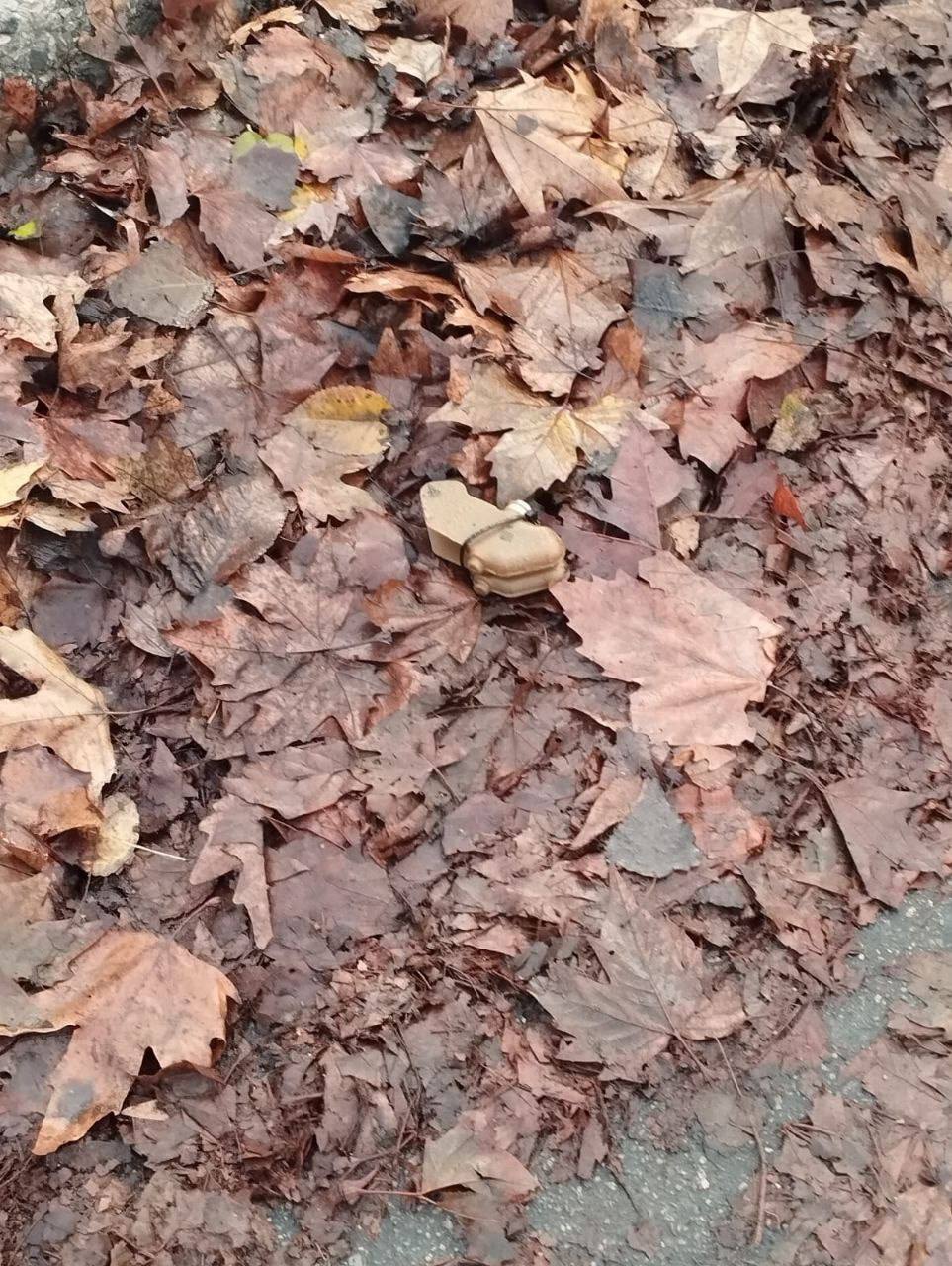 Херсон міни