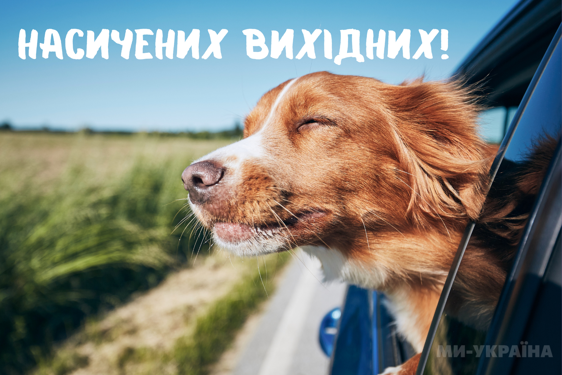 спокійних вихідних картинка