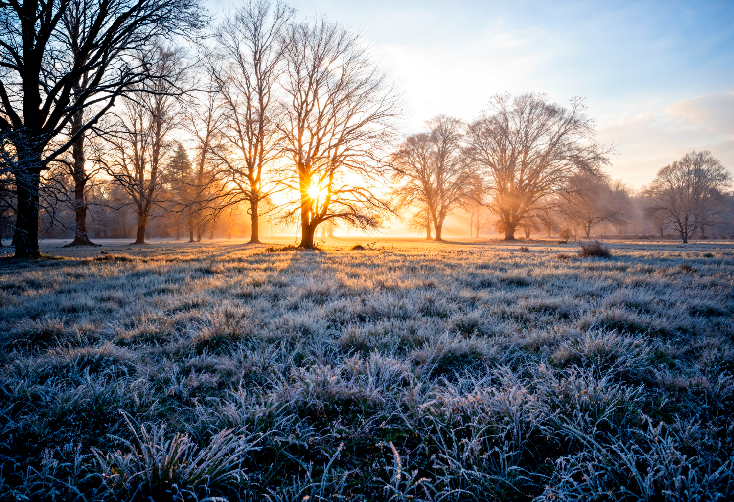 Народні прикмети 21 листопада