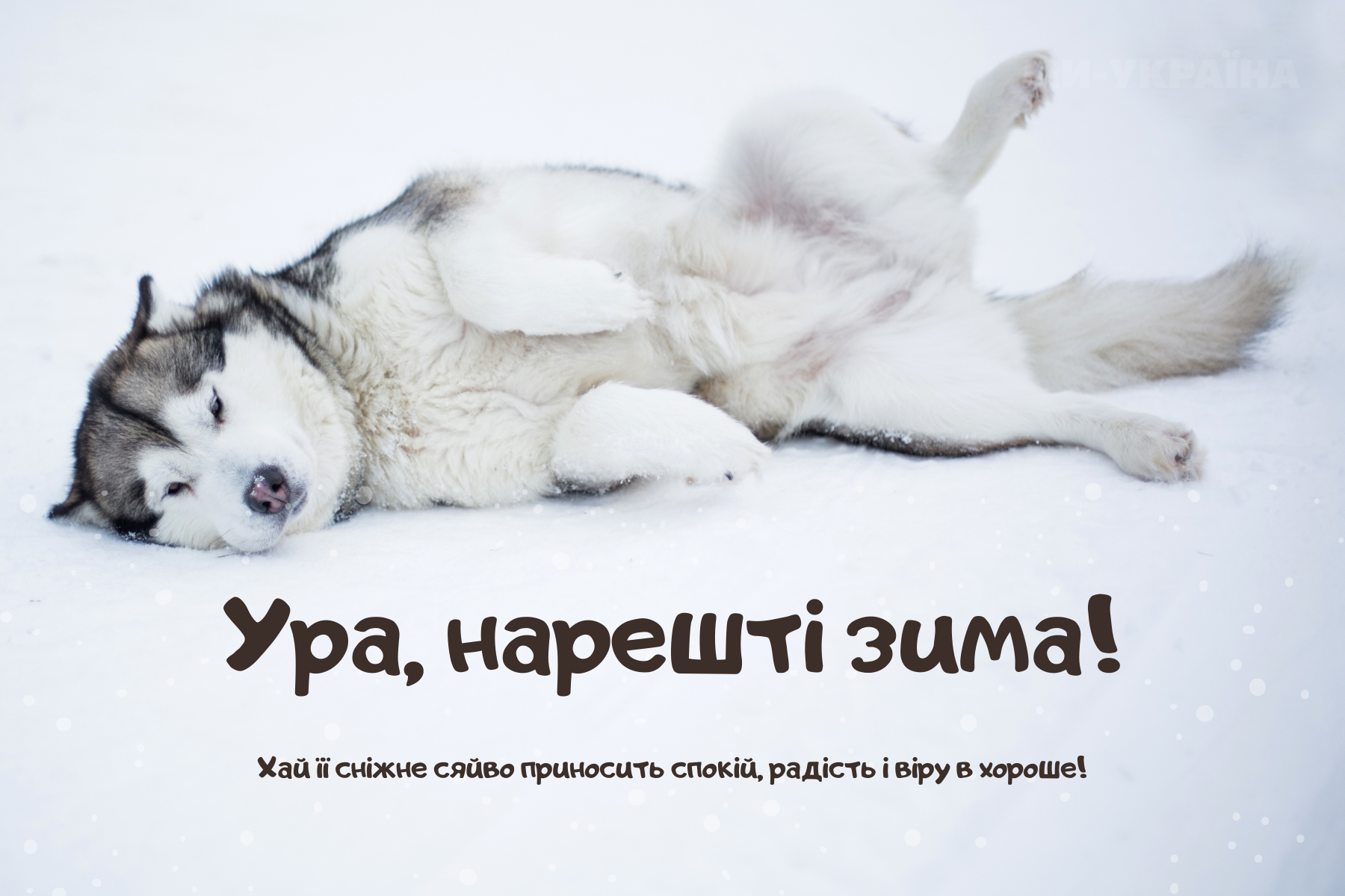 зимові листівки 1 грудня 2025