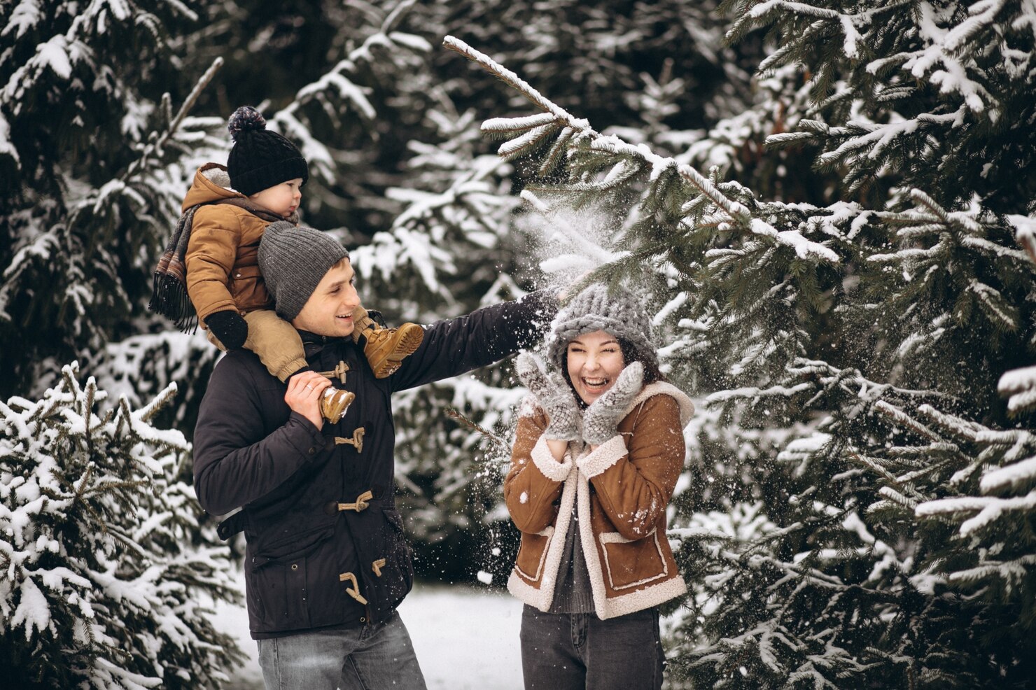 Народні прикмети 31 грудня