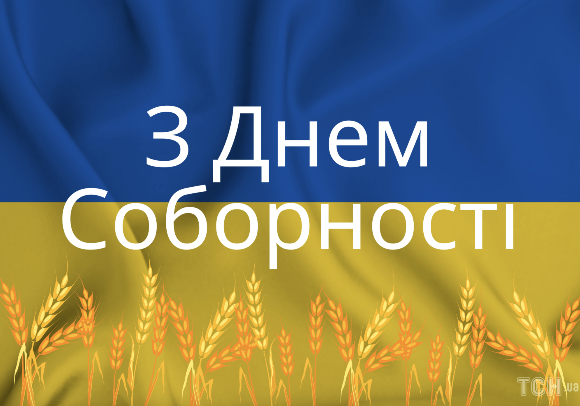 День Соборності України картинка