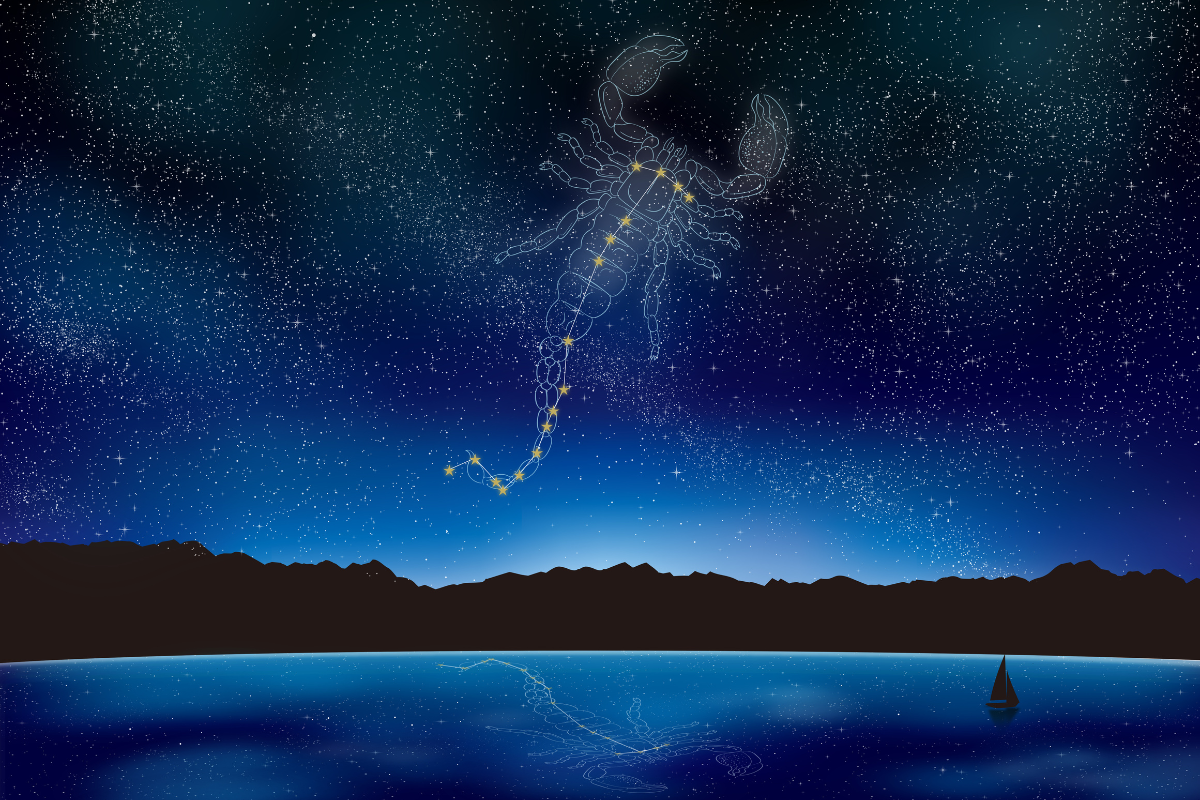 Молодик 20 листопада гороскоп