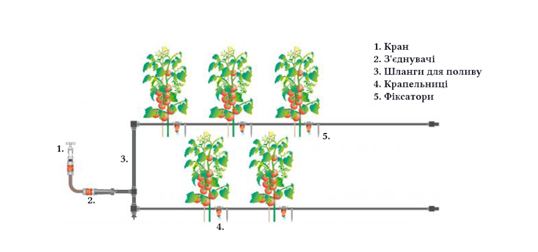 Крапельний полив шлангом