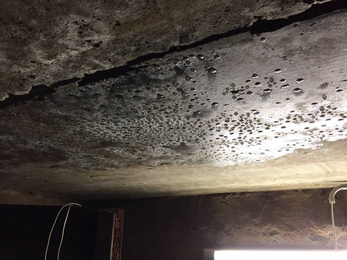 Конденсат у підвалі 