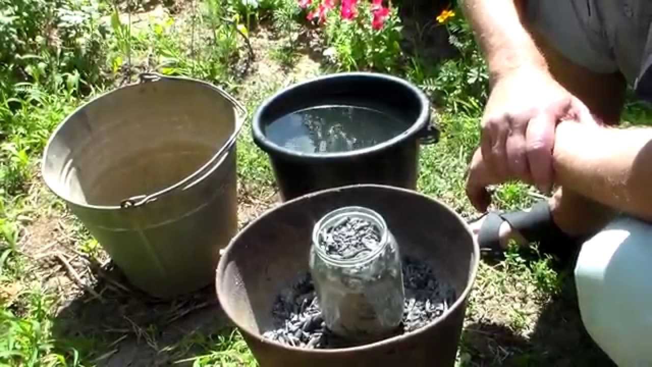 боротьба з шкідниками на городі