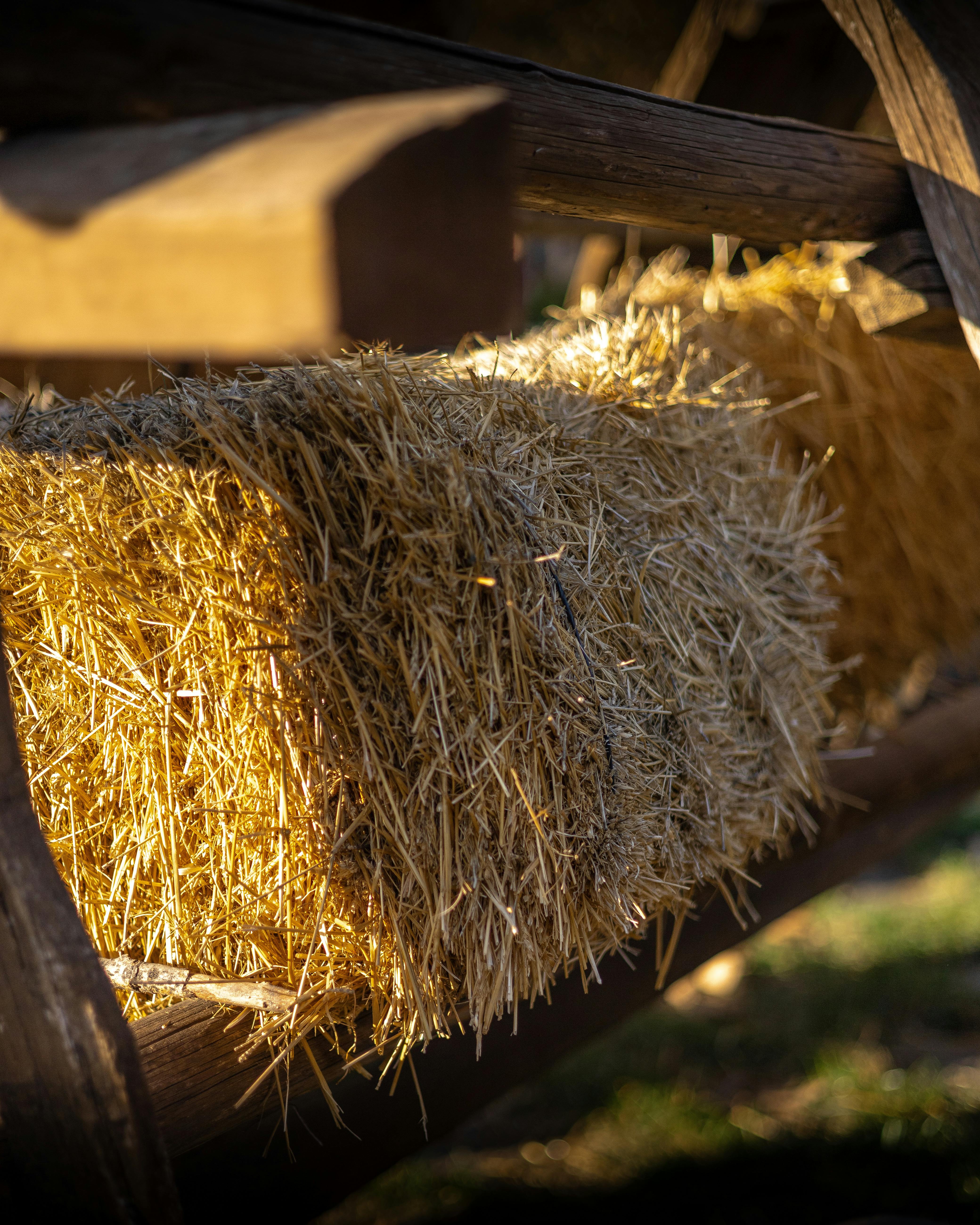 Як зберігати сіно