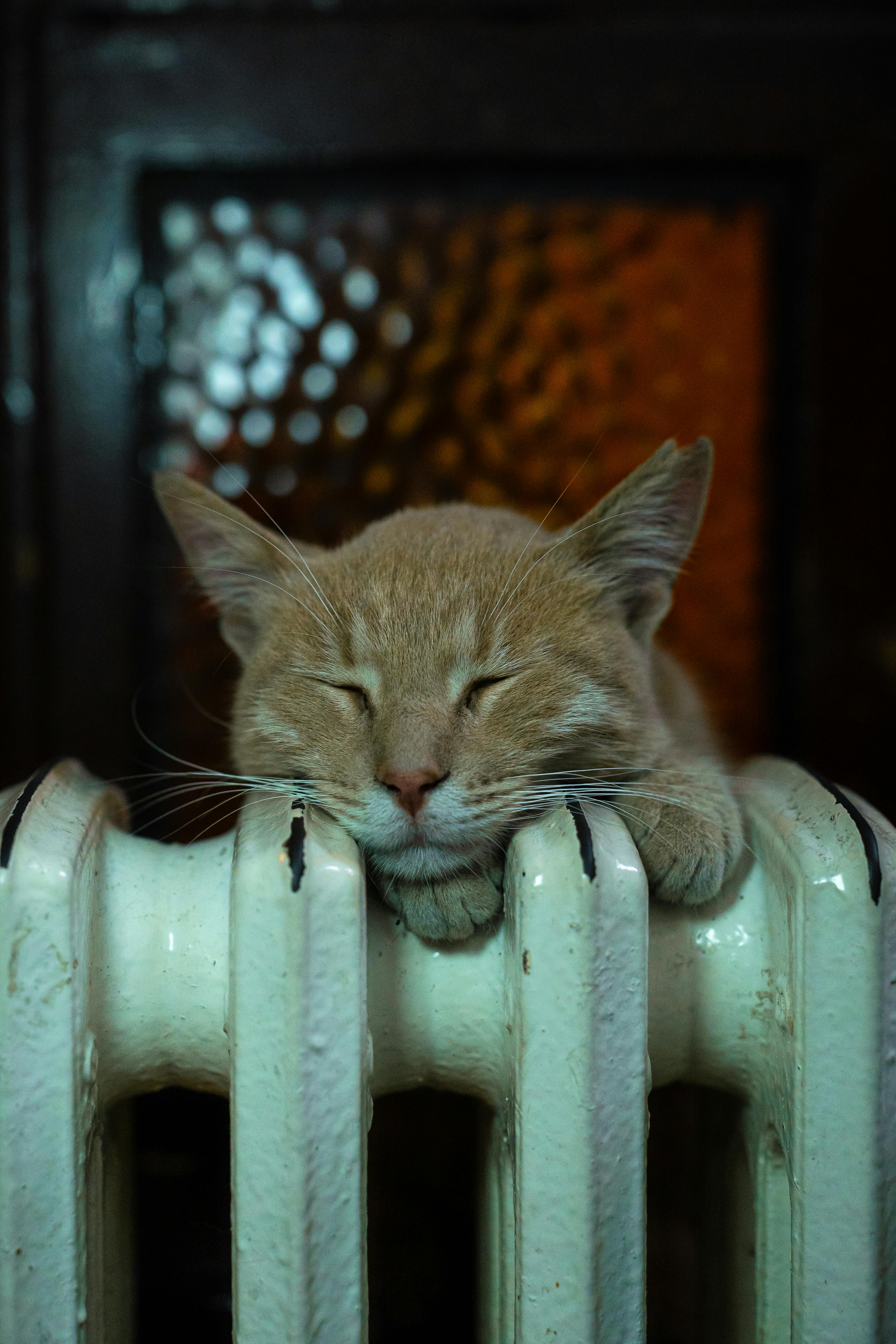 несправність котла